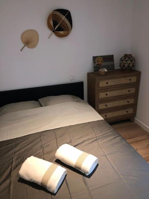 Appartement Cosy-Grand Stade Villeneuve D'Ascq Lezennes Екстериор снимка