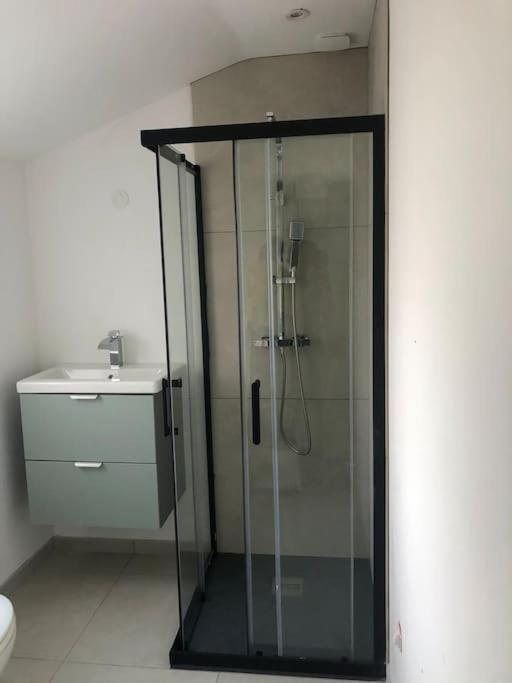 Appartement Cosy-Grand Stade Villeneuve D'Ascq Lezennes Екстериор снимка