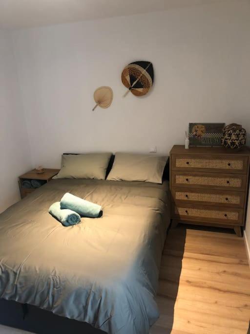 Appartement Cosy-Grand Stade Villeneuve D'Ascq Lezennes Екстериор снимка